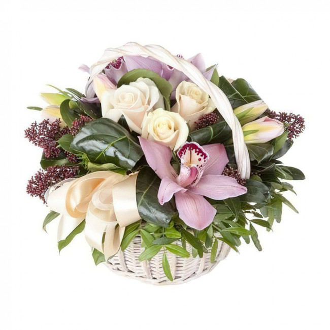 Вечно красивая Вечно красивая